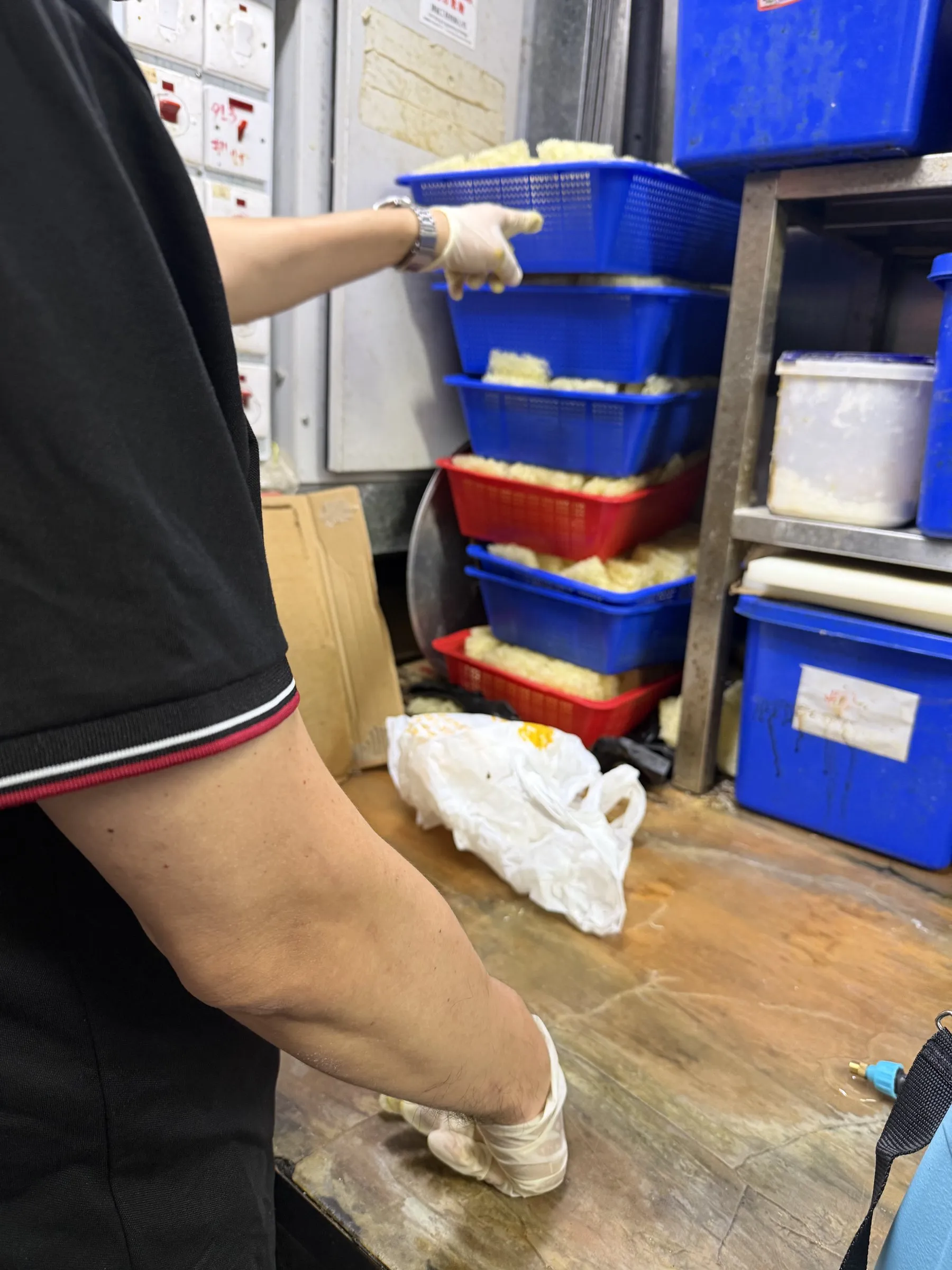 技術員於廚房枱面後方縫隙點放凝膠餌劑