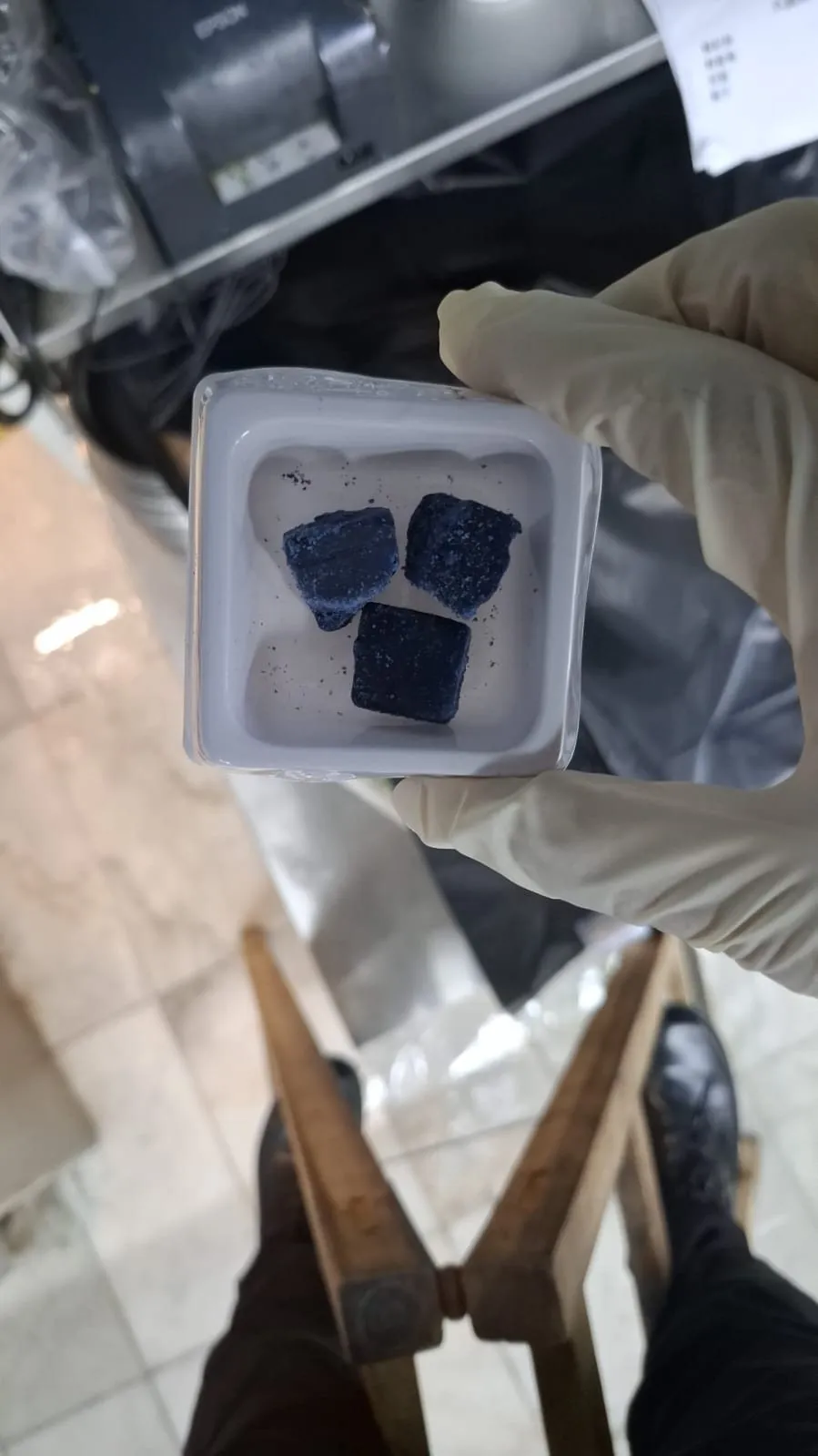 技術員手持監測盒，內有餌塊